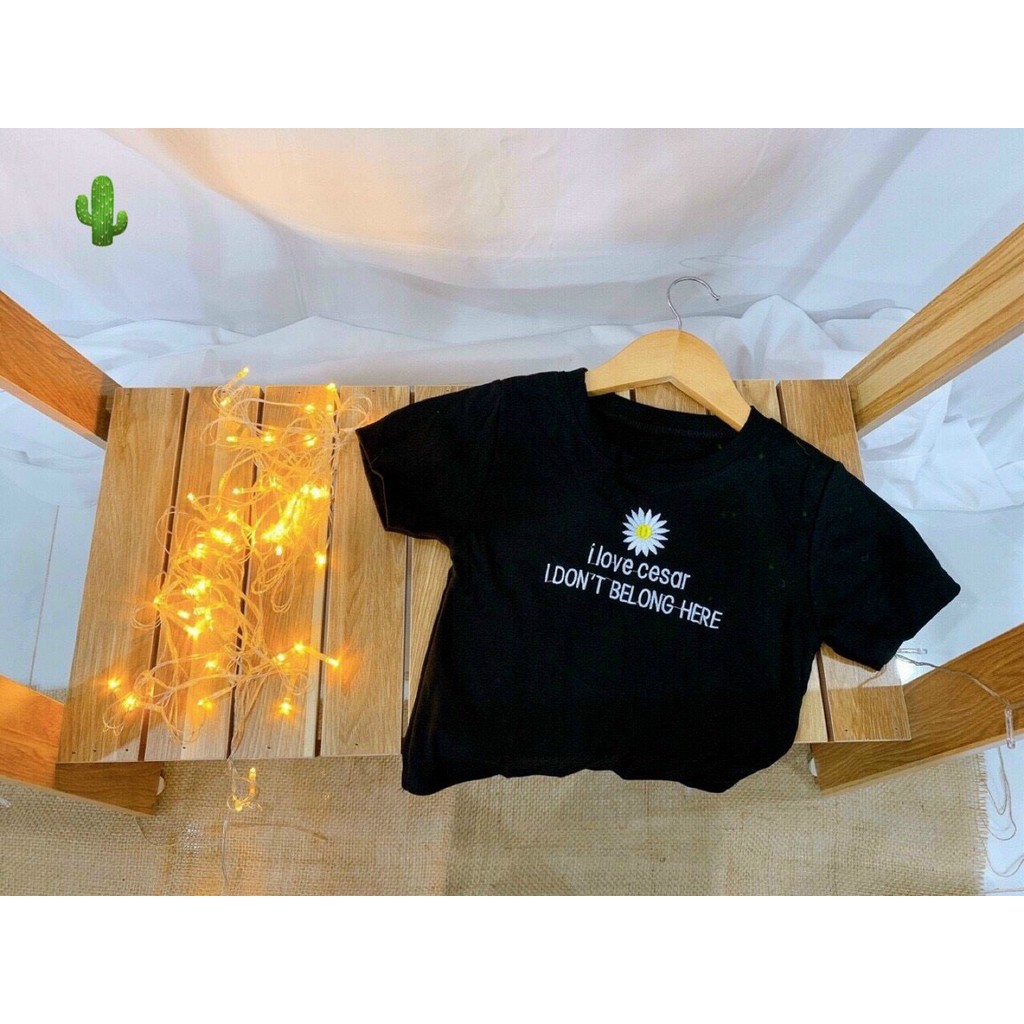 Áo thun cổ tròn tay ngắn croptop thêu hoa cúc xinh pc chất thun thái đẹp