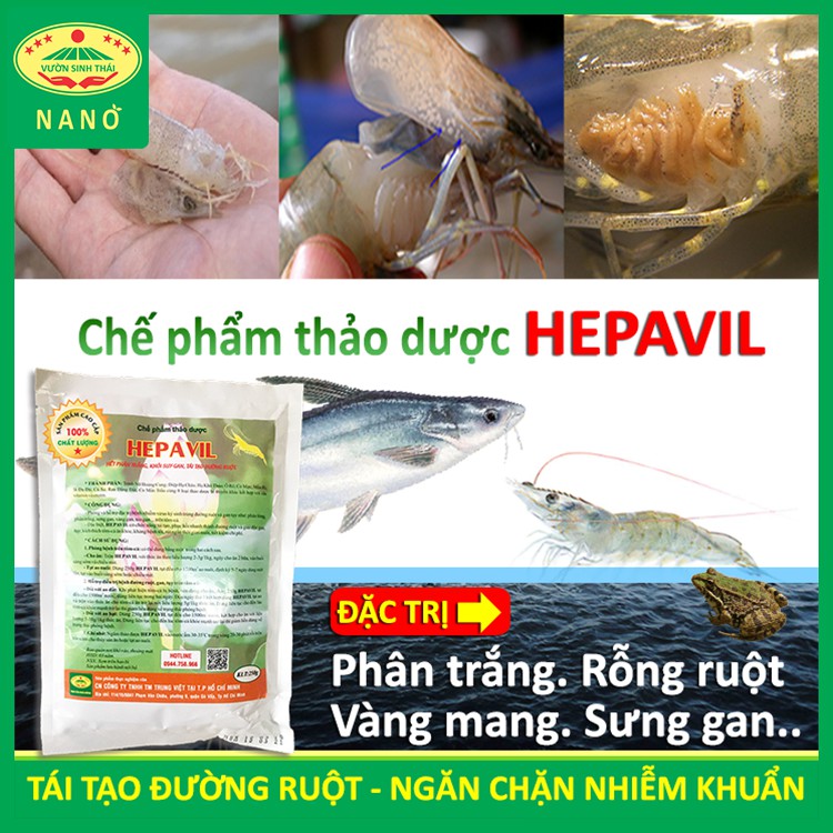 Chế phẩm thảo dược HEPAVIL - Khỏi lo rỗng ruột, phân trắng, gan, tụy trên Tôm, Cá, Ếch