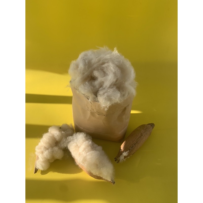Bông gòn tự nhiên nhồi gối 1kg