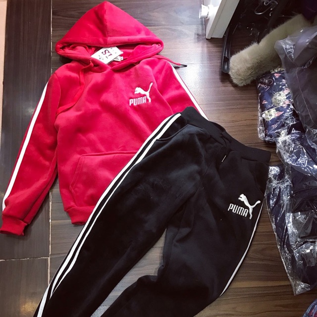 Bộ nỉ nhung da lộn Puma(ảnh thật)