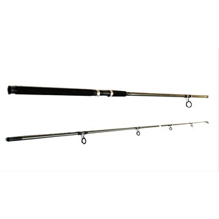 Cần Shimano BIGFISH Indonesia