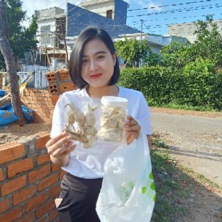 Sâm bố chính . Sâm đất