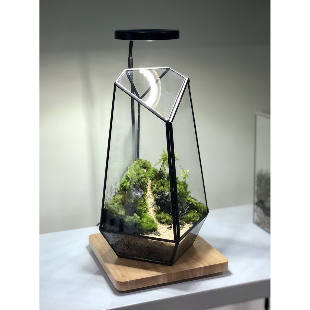 Bình thủy tinh terrarium tiểu cảnh 01