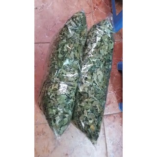 lá găng khô và túi lọc