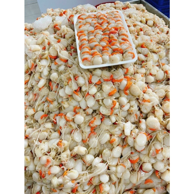 Vành Sò Sốt Chanh ( ăn liền ) là món ăn ngon của Shop Đặc Sản Biển Phan Thiết NGỌC DŨNG; Hộp 200 gram. HSD 12 tháng