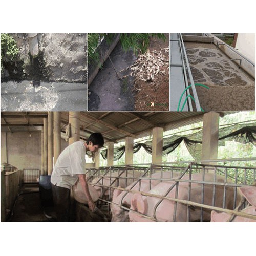 Chế phẩm vi sinh EMZEO xử lý nước thải chăn nuôi, nhà hàng, lò mổ gia súc, bùn cống, xử lý mùi hôi chống đầy hầm biogas