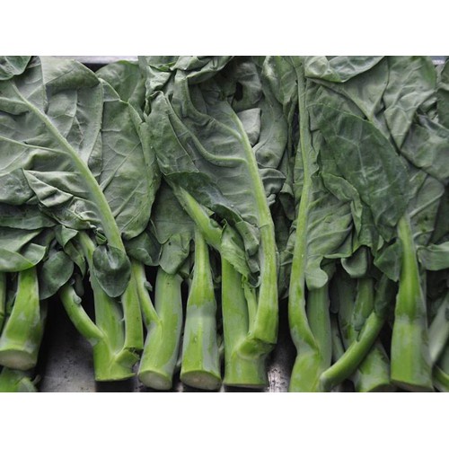 ( SIÊU RẺ ) Hạt giống cải rổ 5gr HN