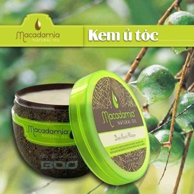 KEM HẤP ( DẦU Ủ TÓC )MACADAMIA