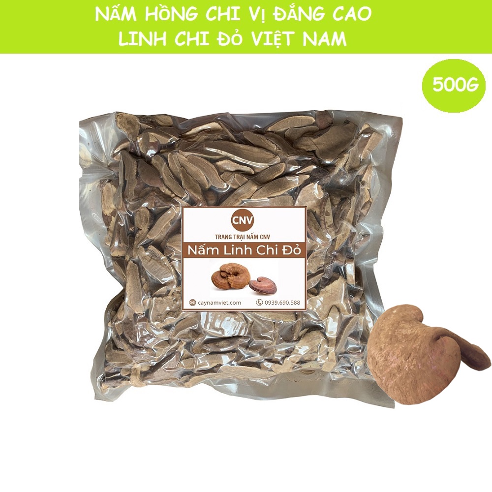 Nấm linh chi đỏ Đà Lạt thái lát 500g - Cây Nấm Việt