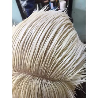 Bột tẩy trắng DVG
