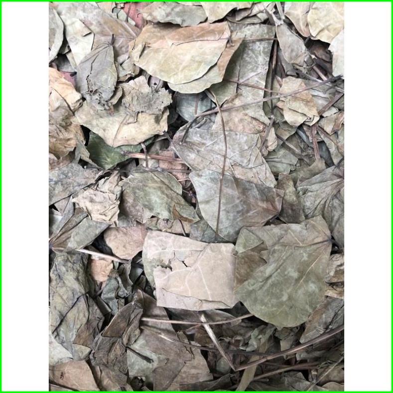 1kg Lá Vông Nem khô hàng loại 1 thơm ngon
