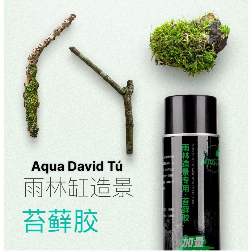 Keo Dán Rêu Mius Cho Bể Thủy Sinh Bán Cạn