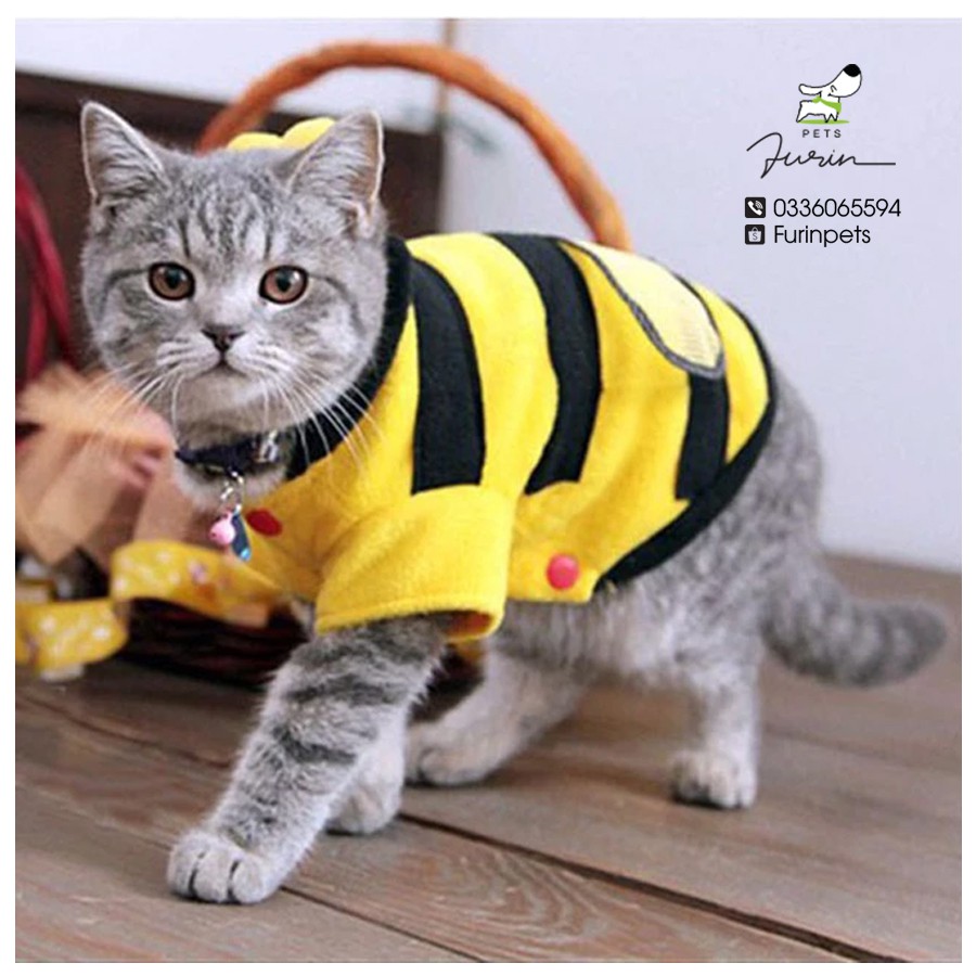 Áo nỉ chó mèo hình con ong