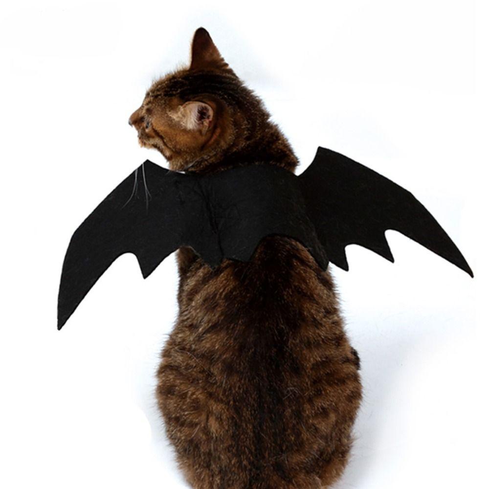 Trang PhụC Halloween Cho Thú Cưng