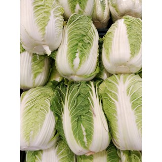 hạt giống CẢI THẢO chịu nhiệt cao sản tỷ lệ nảy mầm cao,Năng Suất, Giòn, Ngọt, Giàu Dinh Dưỡng