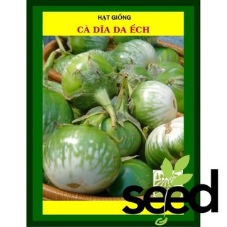 1G - Hạt Giống Cà Dĩa Da Ếch