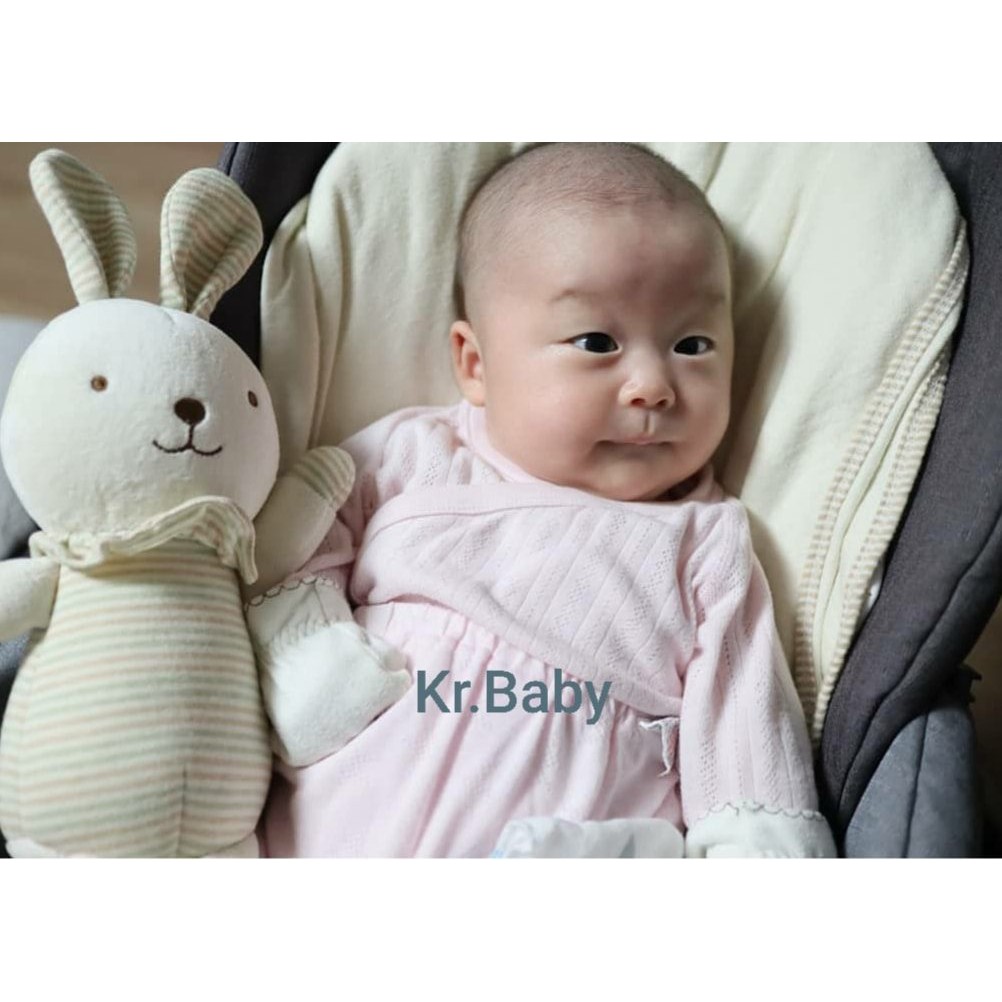 Thú bông organic JnT