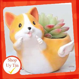 Chậu chó corgy bay🔥 |freeship 🌺 siêu xinh | lỗi 1 đổi 1