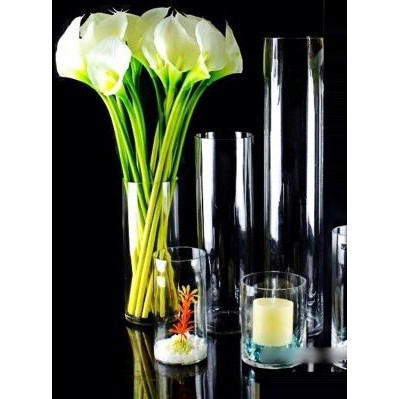 Bình Bông Lọ Hoa Thủy Tinh D8XH30Cm - Bình Hoa Trụ Tròn