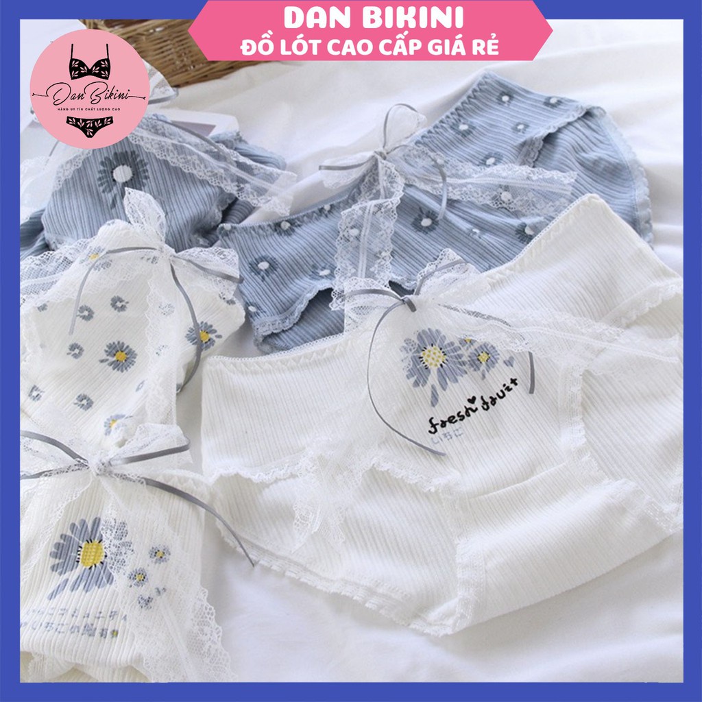 Quần Lót Nữ gân tăm hình hoa cúc kháng khuẩn chống viêm tôn dáng mã 0127