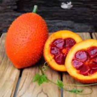 Dầu Gấc ( Gac Oil ) Dầu thực vật