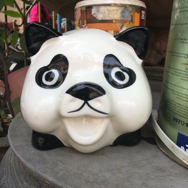 Heo đất tiết kiệm- gấu trúc