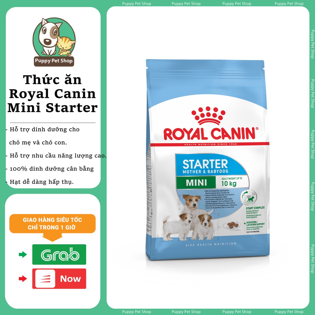 Thức Ăn Royal Canin Mini Starter Mother Babydog 3Kg