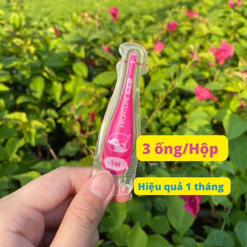 Frontline Tri-act nhỏ gáy cho chó bảo vệ cún cưng khỏi ve rận, bọ chét , ruồi muỗi