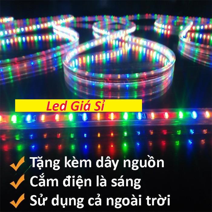 Đèn LED dây 4040 đủ màu 5m 220V không nháy