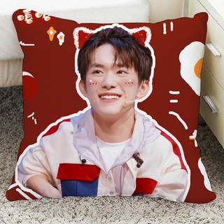 Gối vuông trang trí Dịch Dương Thiên Tỉ