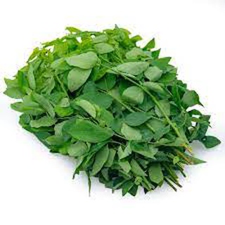 Rau ngót(rau bồ ngót)-250g