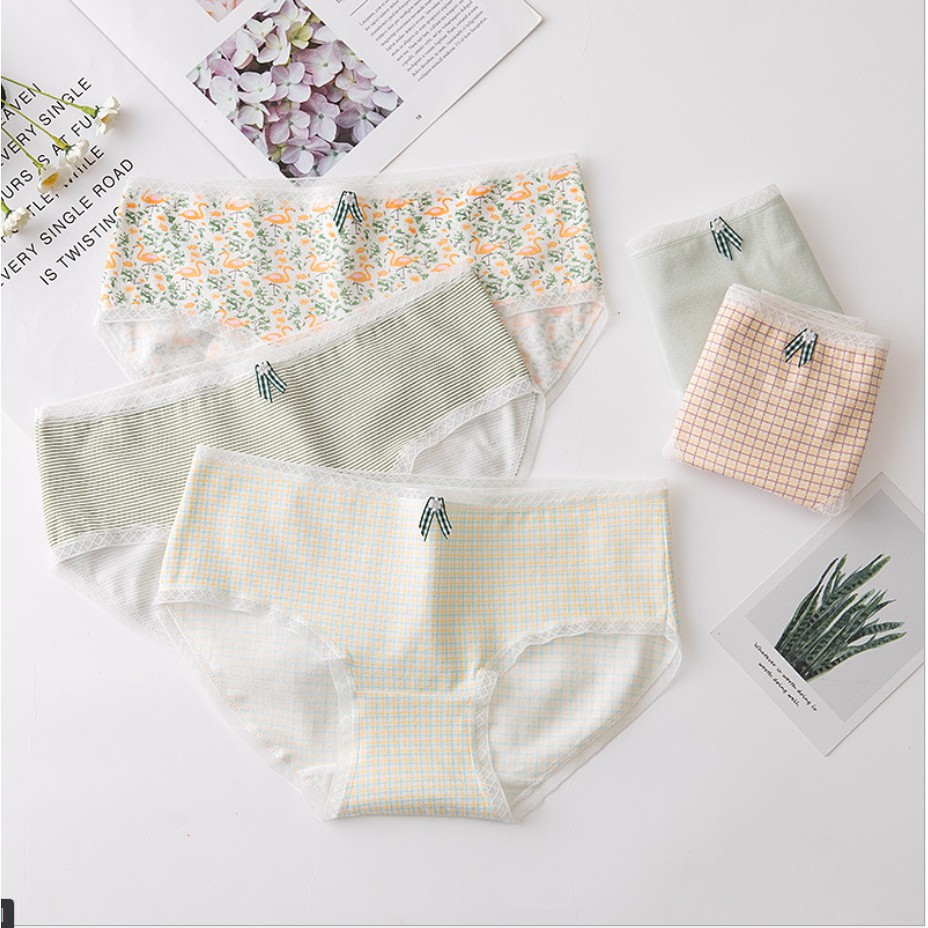 Quần Lót Nữ Cotton Mỏng Xuất Hàn ( QL : 205 ) Hàng Loại Đẹp.