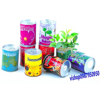 HẠT GIỐNG HOA - CÂY - GIỐNG HẠT ĐẬU THẦN KÌ