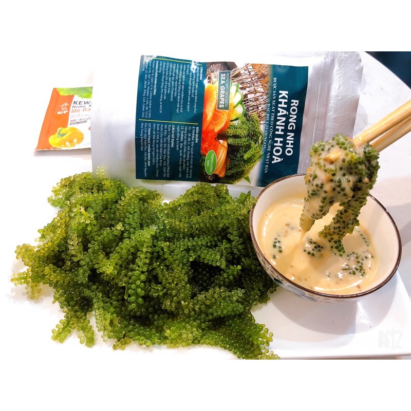 [GÓI 100G+ TẶNG SỐT] RONG NHO TÁCH NƯỚC KHÁNH HOÀ | BigBuy360 - bigbuy360.vn