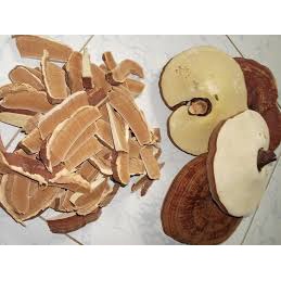 NẤM LINH CHI ĐỎ THÁI LÁT HÀN QUỐC GÓI 1KG TÚI VÀNG