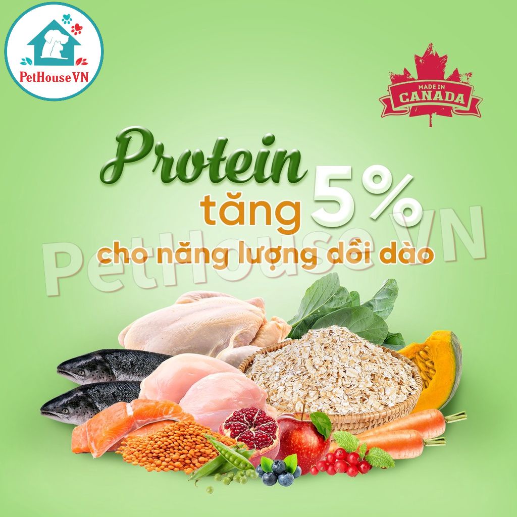 NUTRIENCE INFUSION KITTEN - Túi 500G Thức Ăn Hạt Cho Mèo Con Vị Gà & Rau Củ Quả Hàng Chính Hãng