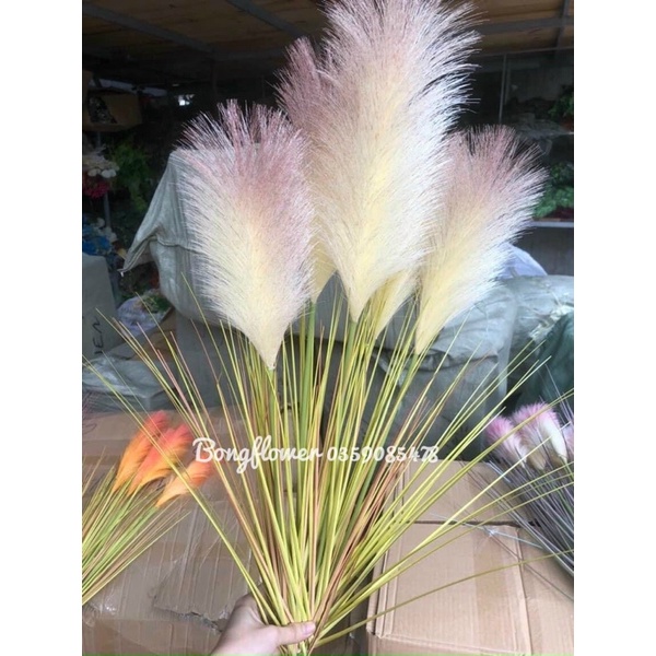 Cành lau giả - Cành lau 5 bông cao 100 cm decor siêu xinh