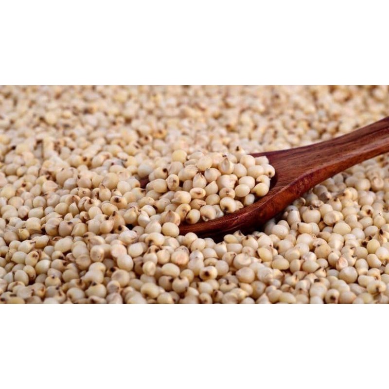 Hạt Bo Bo Nếp Trắng - Ý Dĩ Nếp Trắng 500g