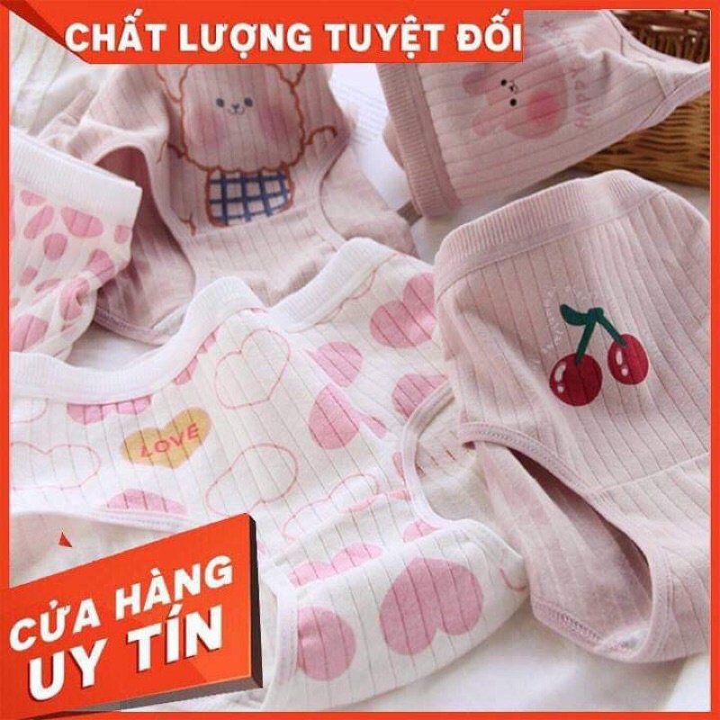 Set 5 Quần Chip Cotton - 5 Chiếc Siêu Cute - Co Dãn Thoải Mái - Cotton Bền Màu Bền Vải - Có Thể Làm Quà!