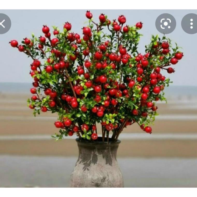 Cherry cành cao - đào đông - lựu phú quý- hoa lụa trang trí