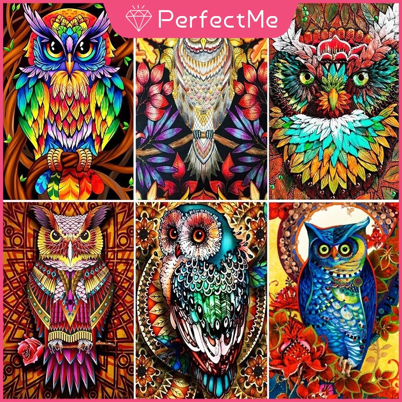 Bộ Tranh Đính Đá 5D Tự Làm Hình Chim Cú 40X50CM