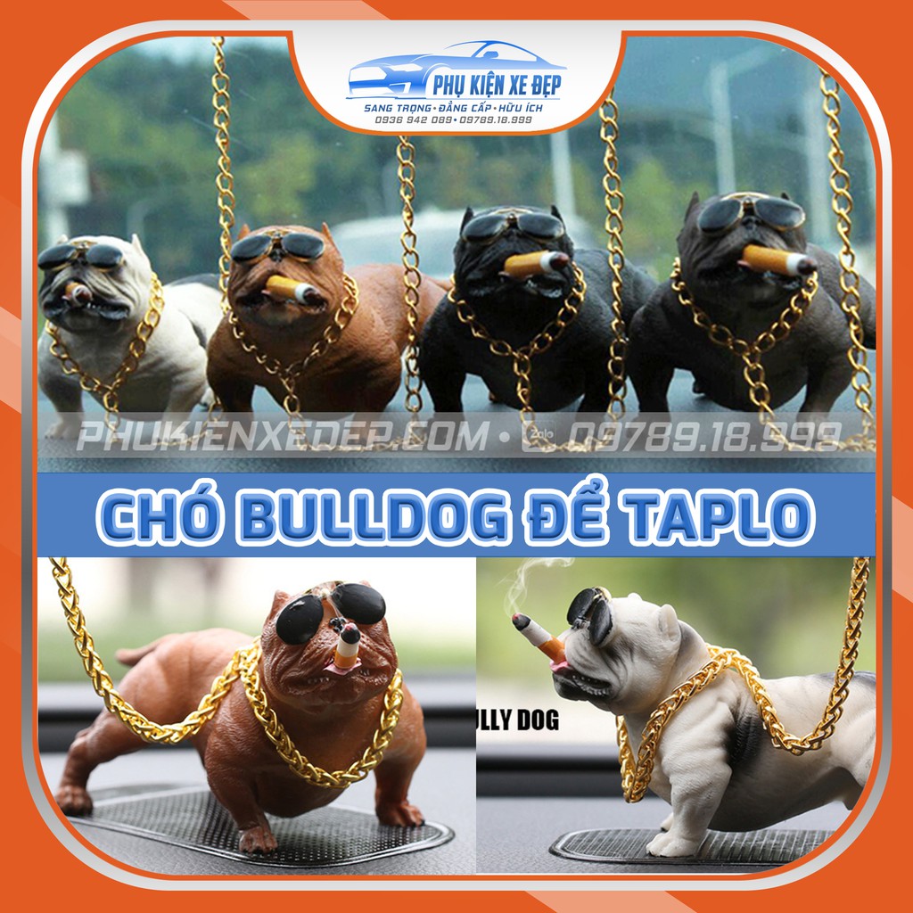 Chó Bulldog gật gù để taplo ô tô nhiều màu