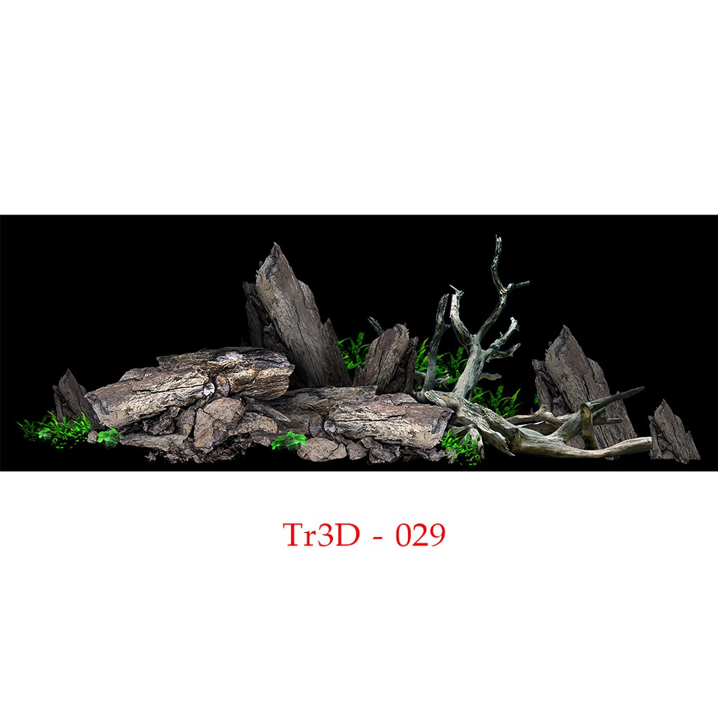 Tranh 3D Bể Cá Cảnh Mẫu Tranh Thủy Sinh - Tranh Thủy Sinh Bể Cá Cảnh Có Sẵn Keo, Tặng Kèm Bộ Dụng Cụ