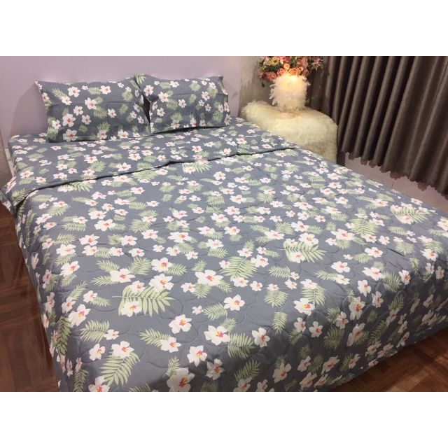 Bộ chăn hè ga gối poly (185k chọn bộ 5 món)