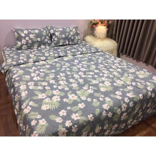 Bộ chăn hè ga gối poly