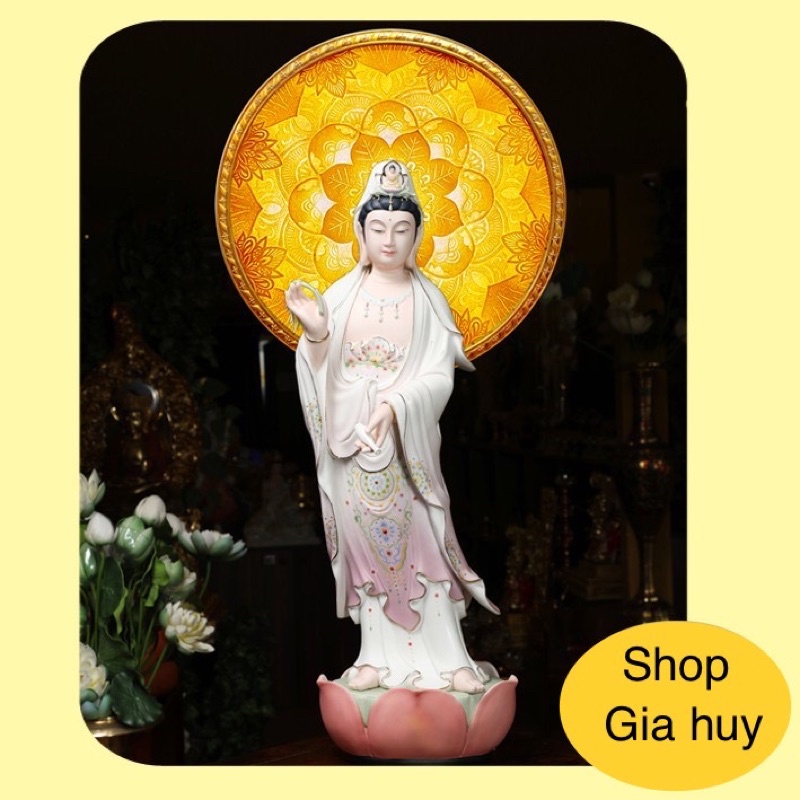 Hào Quang Trúc Chi