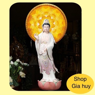 Hào Quang Trúc Chi