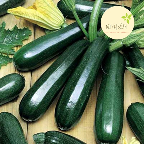 Hạt giống bí ngồi xanh F1 gói 2g bí ngòi lùn cho quả nhanh