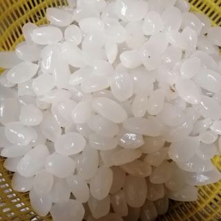 Hạt đát trắng 1kg
