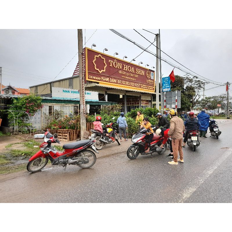 1kg vỏ thông khô, dày, đỏ đẹp đã xử lý để ghép phong lan